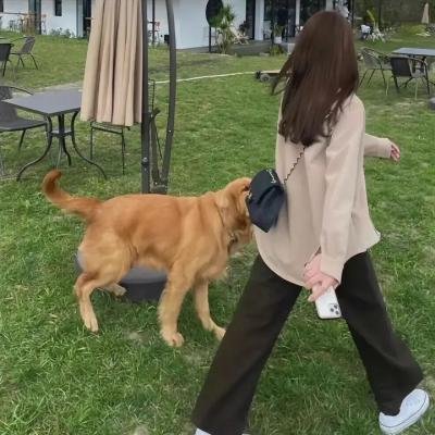 美国忍者