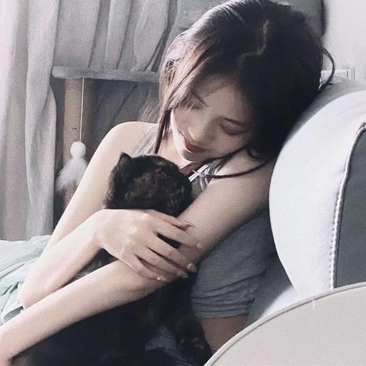 喵酱妹妹帮我追女神吧